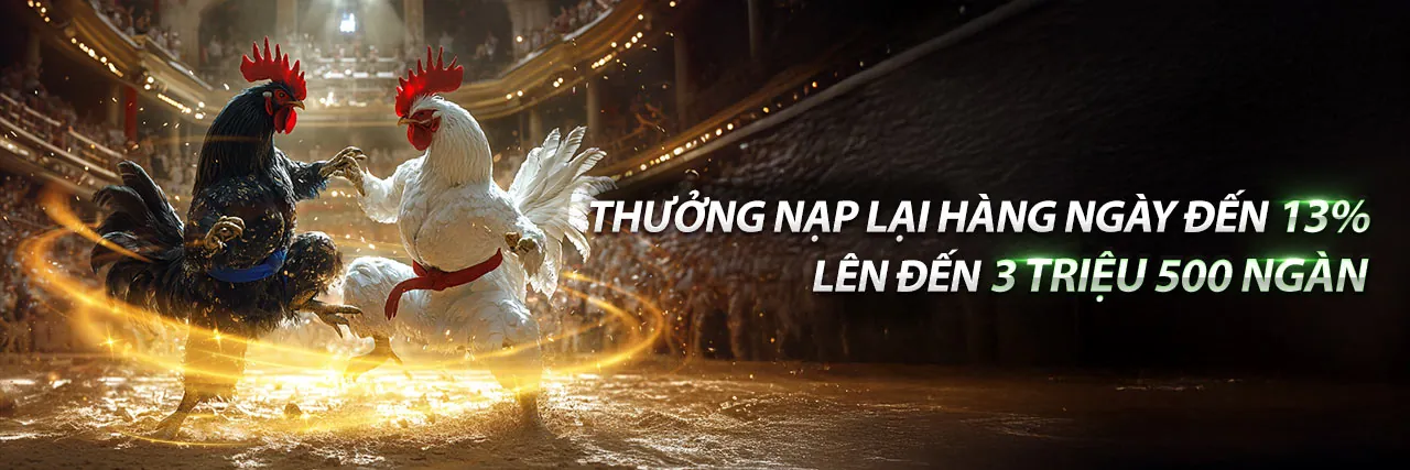 Giới thiệu 66b login - Nền tảng giải trí trực tuyến hàng đầu